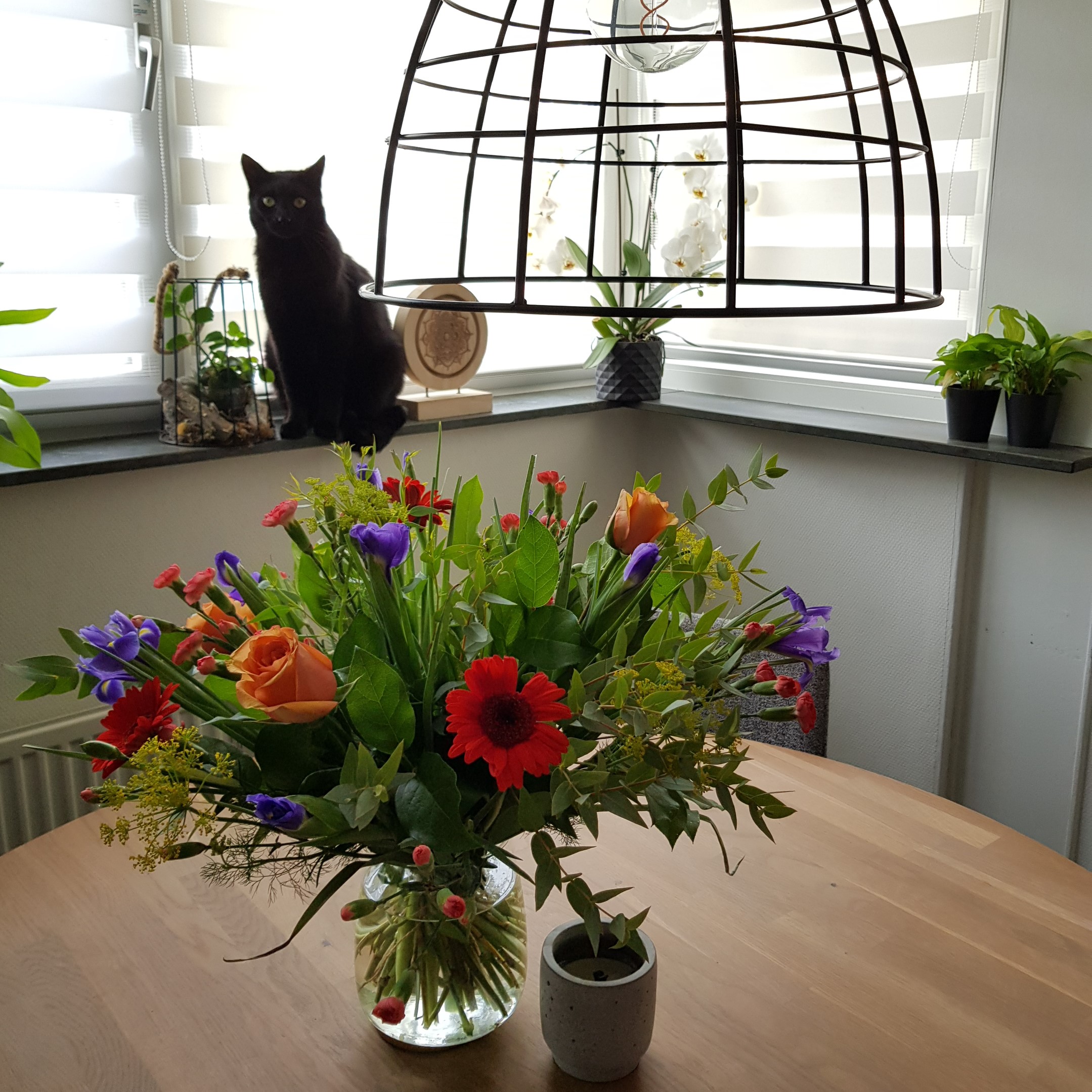 bloemen2