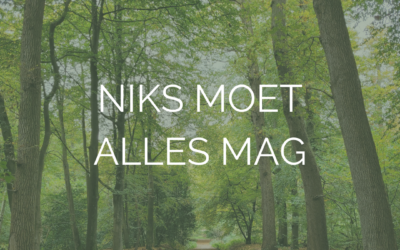 Goed nieuws, en wat nu?