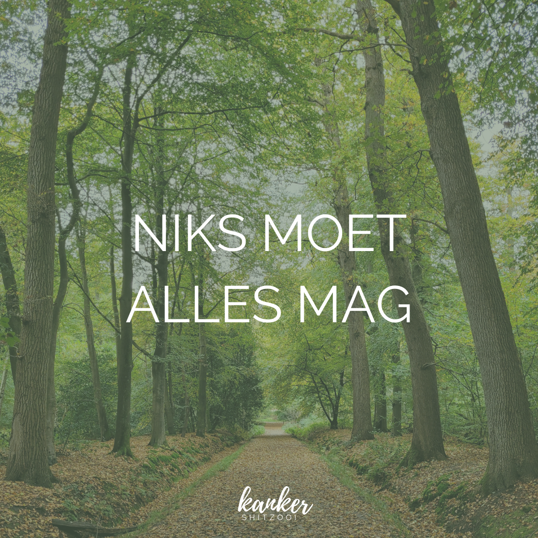 NIKS MOET ALLES MAG (1)