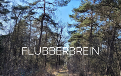 Flubberbrein